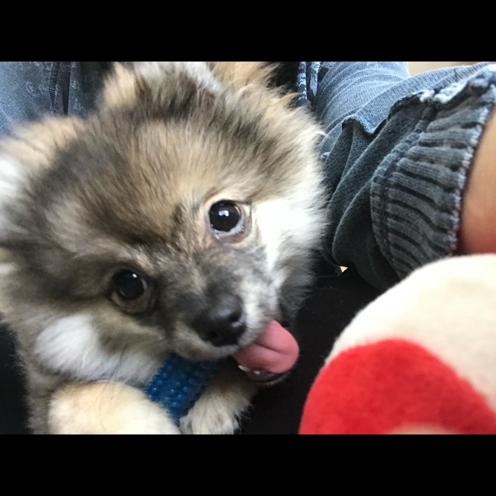 Meet your Posher, Cristina